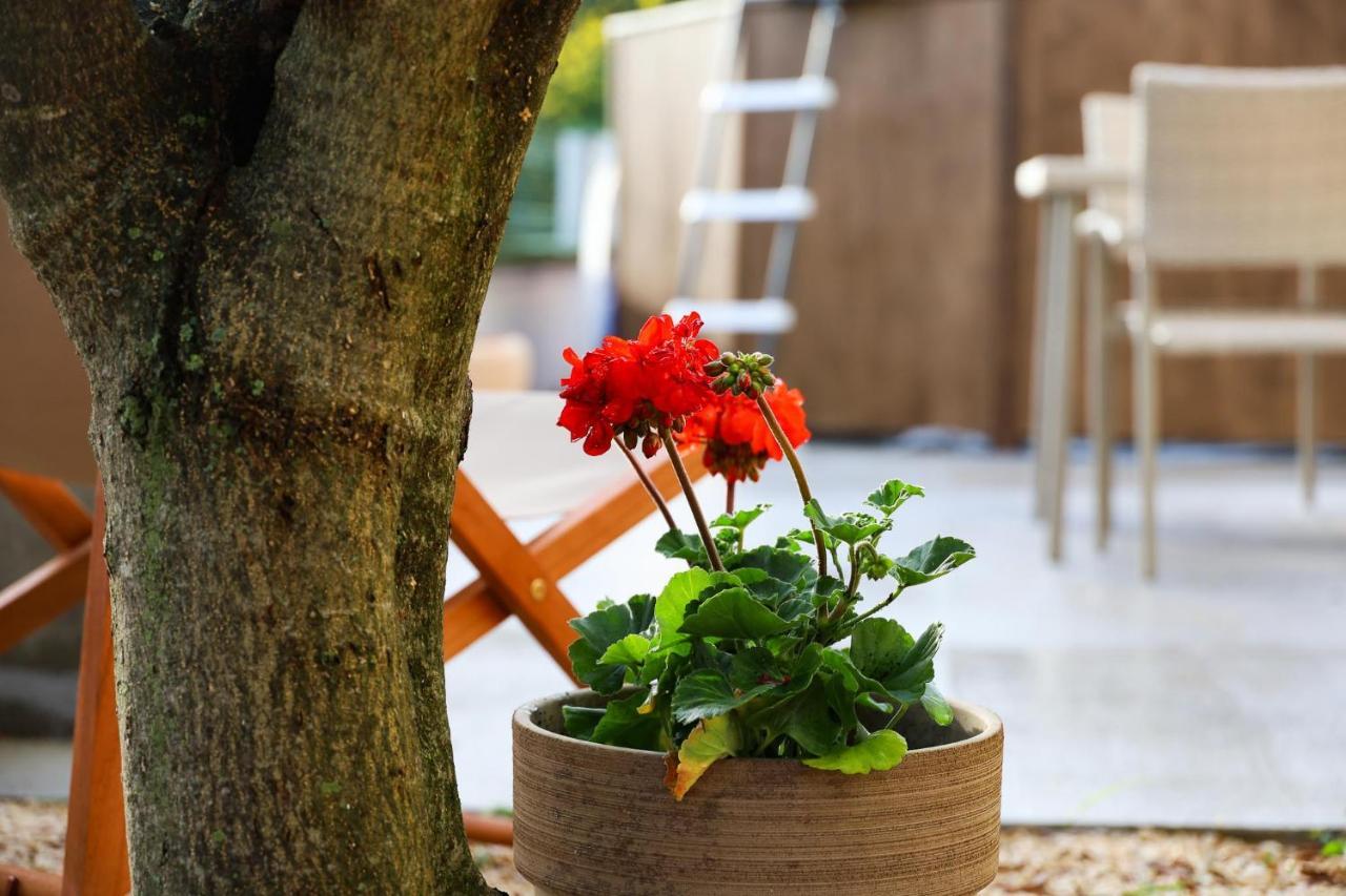 The Florens Residence Near The Beach With The Pool, Bbq And Kids Playground, Zadar Diklo Luaran gambar